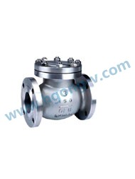 API/DIN stainless steel flange swing check valve